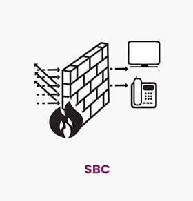 SBC چکاوک یک المان حفاظتی و امنیتی در شبکه های VoIP است. حساسیت و اهمیت سرویس های تلفنی مبتنی بر IP وجود  SBC را ملزم می‌نماید.