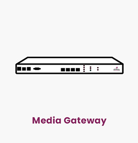 مدیا گیتوی وظیفه تبدیل ترافیک TDM به IP را در VoIP بر عهده دارد. مدیا گیتوی شرکت چکاوک ساخت ایران بوده و ظرفیت آن تا 4E1 میباشد.