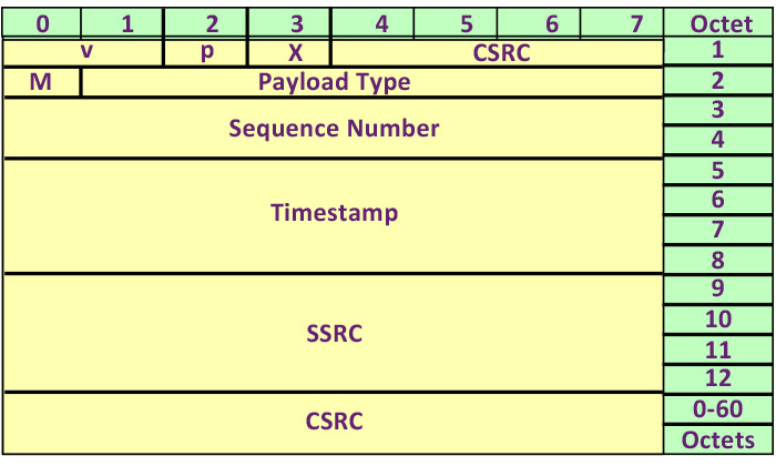 Real Time Protocol